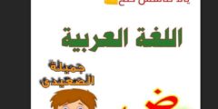 مذكره تاسيس رائعة في اللغة العربية 2022